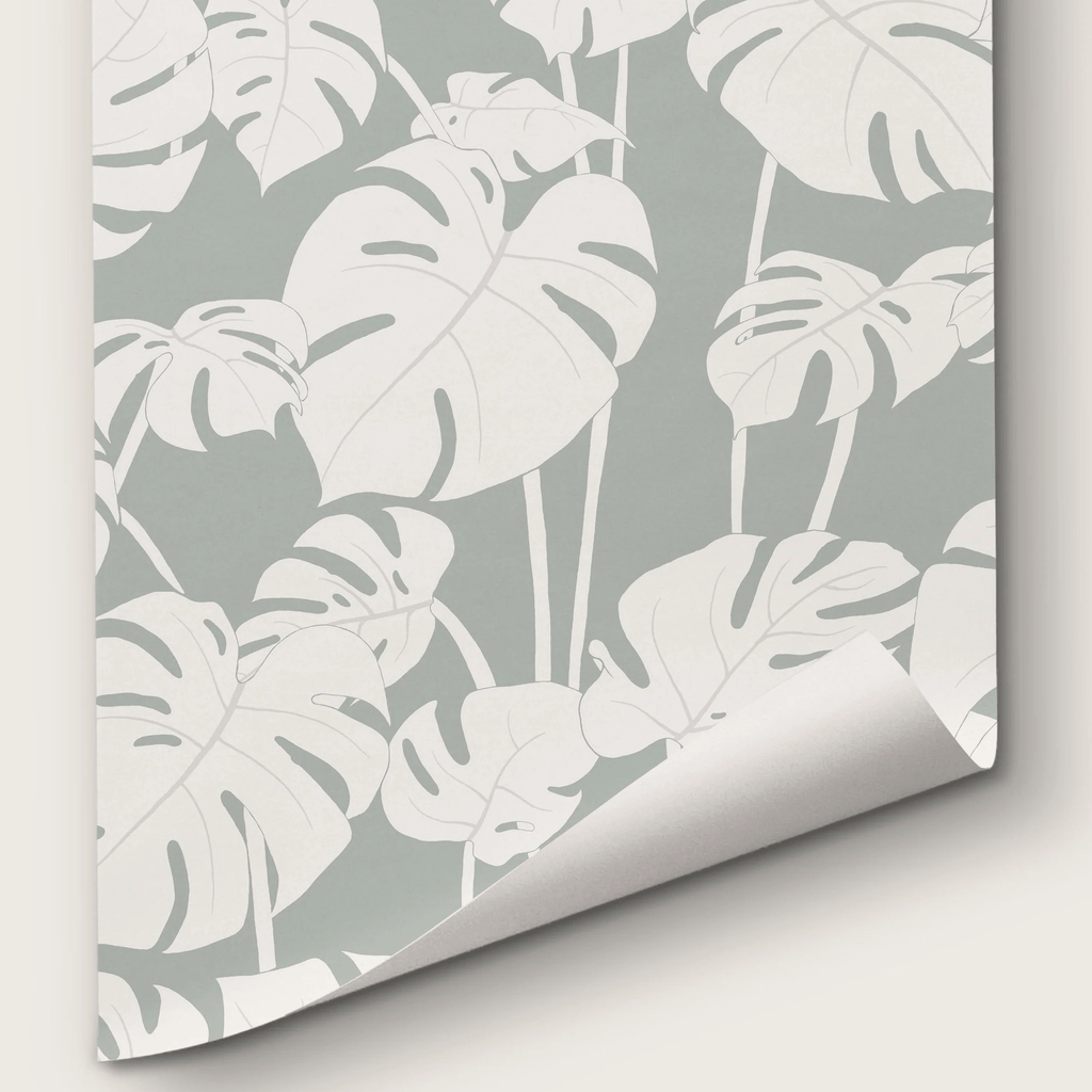 Mighty Monstera Misted