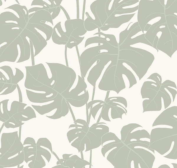 Mighty Monstera Verdant | Abnormals Anonymous Wallcovering