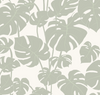 Mighty Monstera Verdant