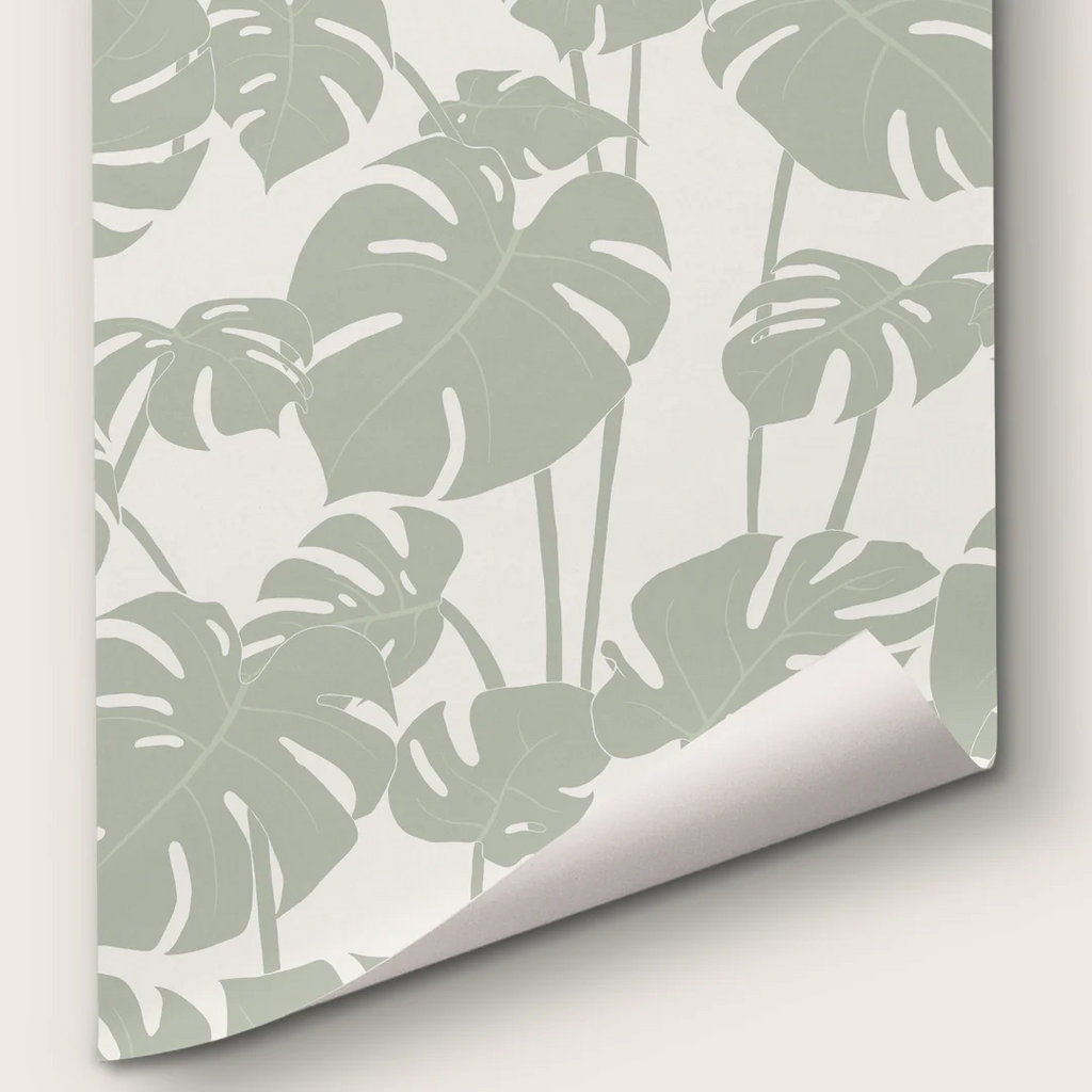 Mighty Monstera Verdant