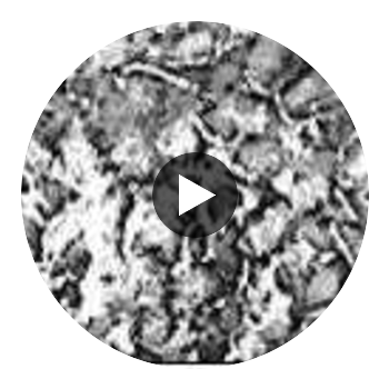 MIllion Dollar MIca Chip | Phillipe Romano Circular Swatch | DW