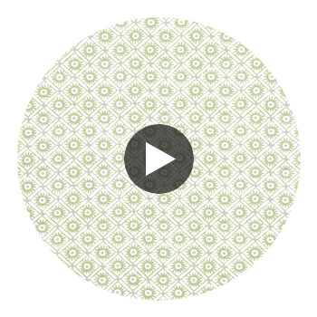 Mini Sun Fabrics – Green | Thibaut Circular Swatch | Thibaut