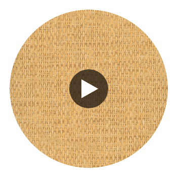 Modena Gold Basketweave Grasscloth Wallcovering | Fentucci Circular Swatch | DW