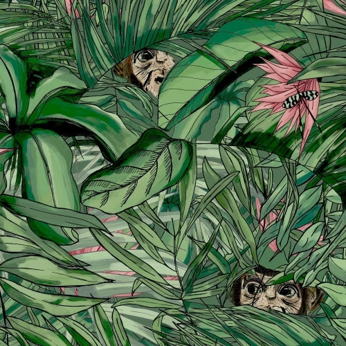 Monkey Forest Dark Green & Pink Wallpaper | Brand McKenzie