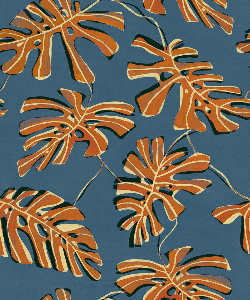 Monstera Índigo