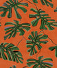 Monstera Naranja