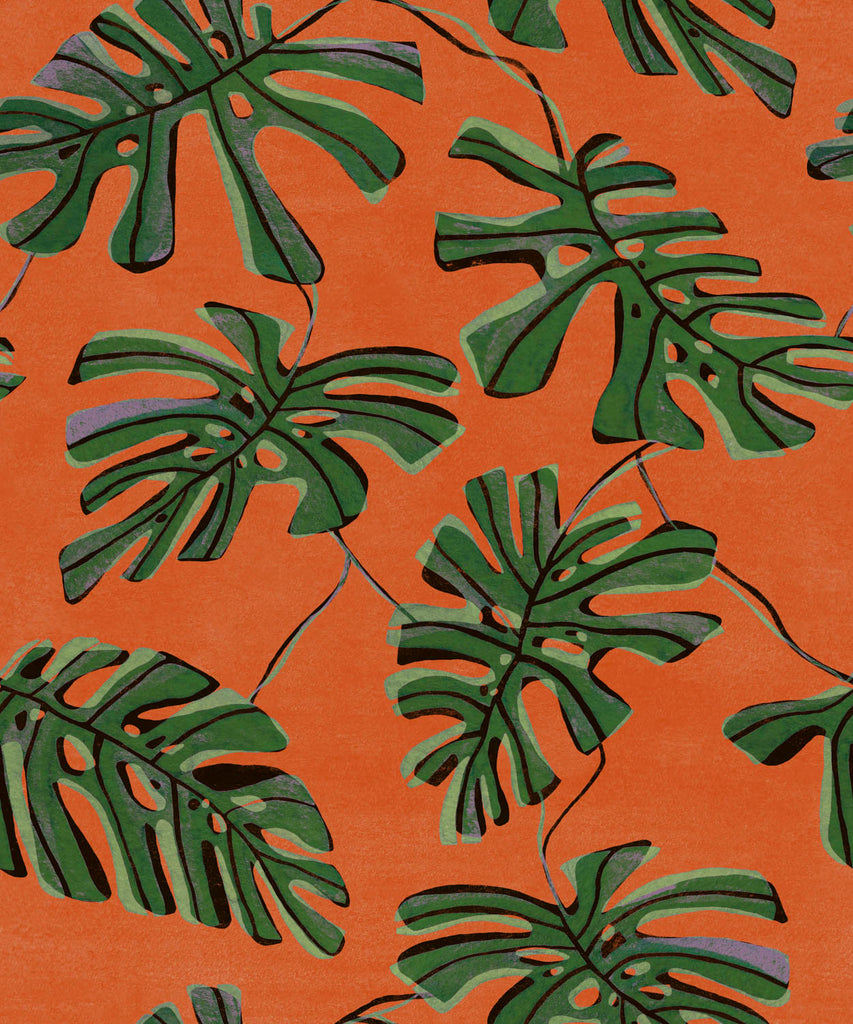Monstera Naranja