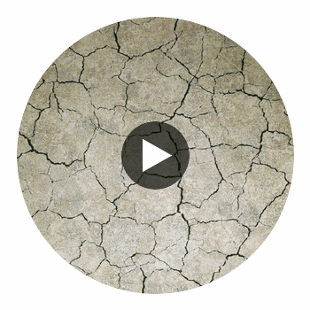 Montpelier | Hollywood Wallcoverings Circular Swatch | Hollywood Wallcoverings