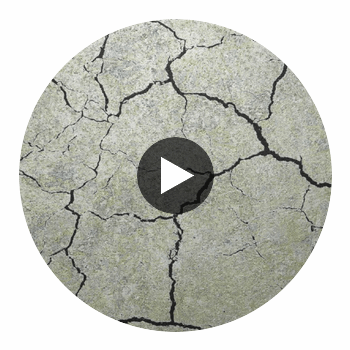 Montpelier | Hollywood Wallcoverings Circular Swatch | Hollywood Wallcoverings