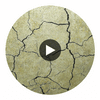 Montpelier | Hollywood Wallcoverings Circular Swatch | Hollywood Wallcoverings