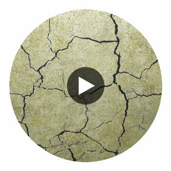 Montpelier | Hollywood Wallcoverings Circular Swatch | Hollywood Wallcoverings