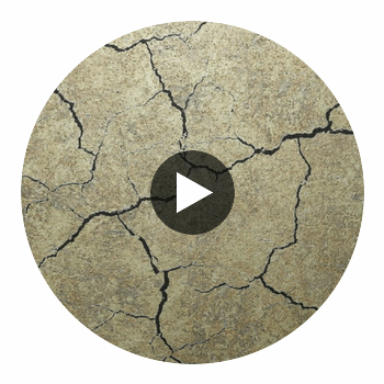 Montpelier | Hollywood Wallcoverings Circular Swatch | Hollywood Wallcoverings