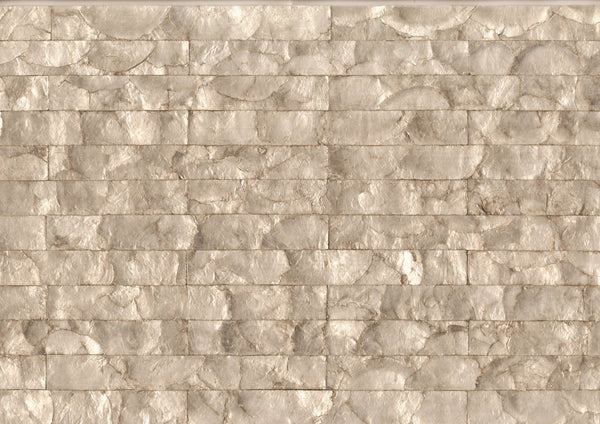 Mother of Pearl - Silver Mollusk | Maya Romanoff