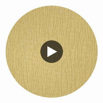 Mr. Diorio Wallcovering Circular Swatch | DW