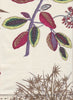 Jardin Des Plantes Print, Multi