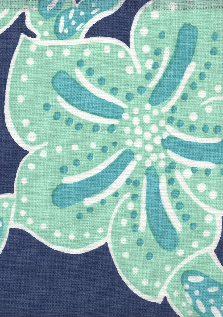 Multi Aquas on New Navy