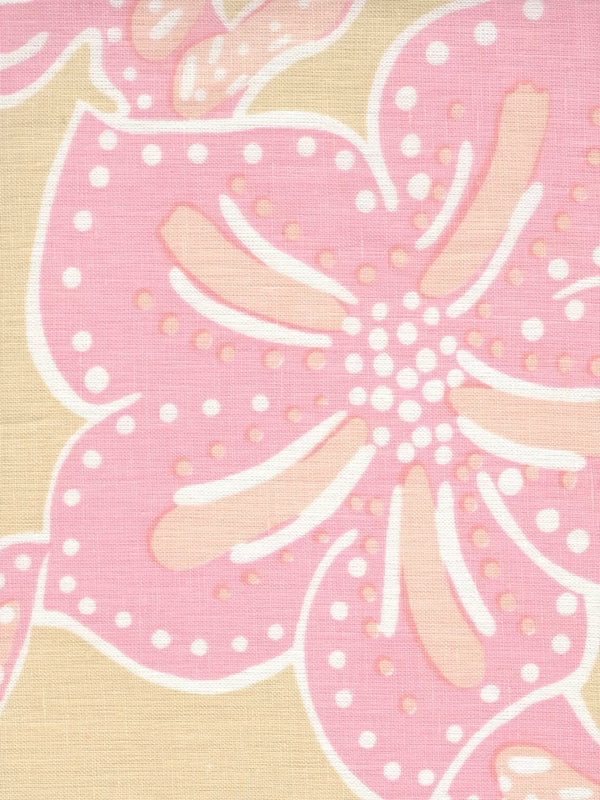 Multi Pinks on Cream | Alan Campbell