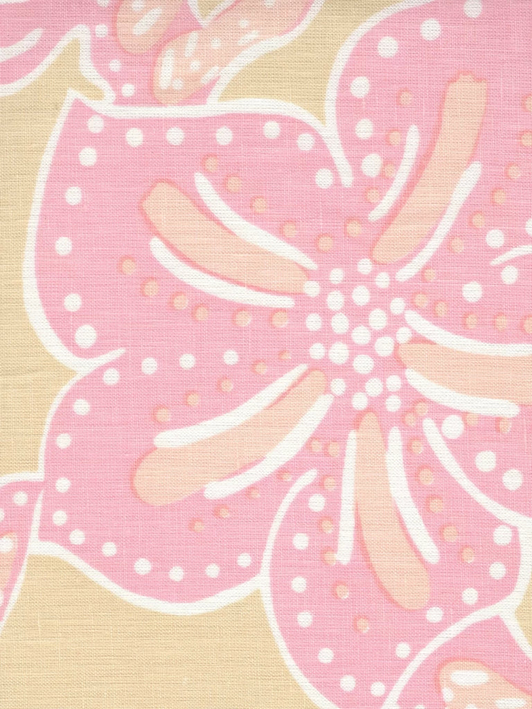 Multi Pinks on Cream