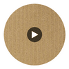 Narcisse Noir Wallcovering Circular Swatch | DW