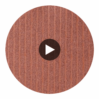 Narcisse Noir Wallcovering Circular Swatch | DW