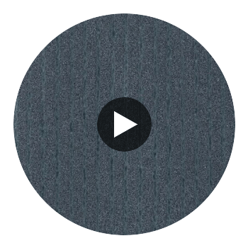 Narcisse Noir Wallcovering Circular Swatch | DW