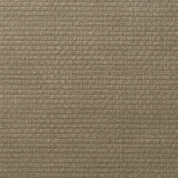 Paperweave 3 Otter | Wolf Gordon Wallcoverings