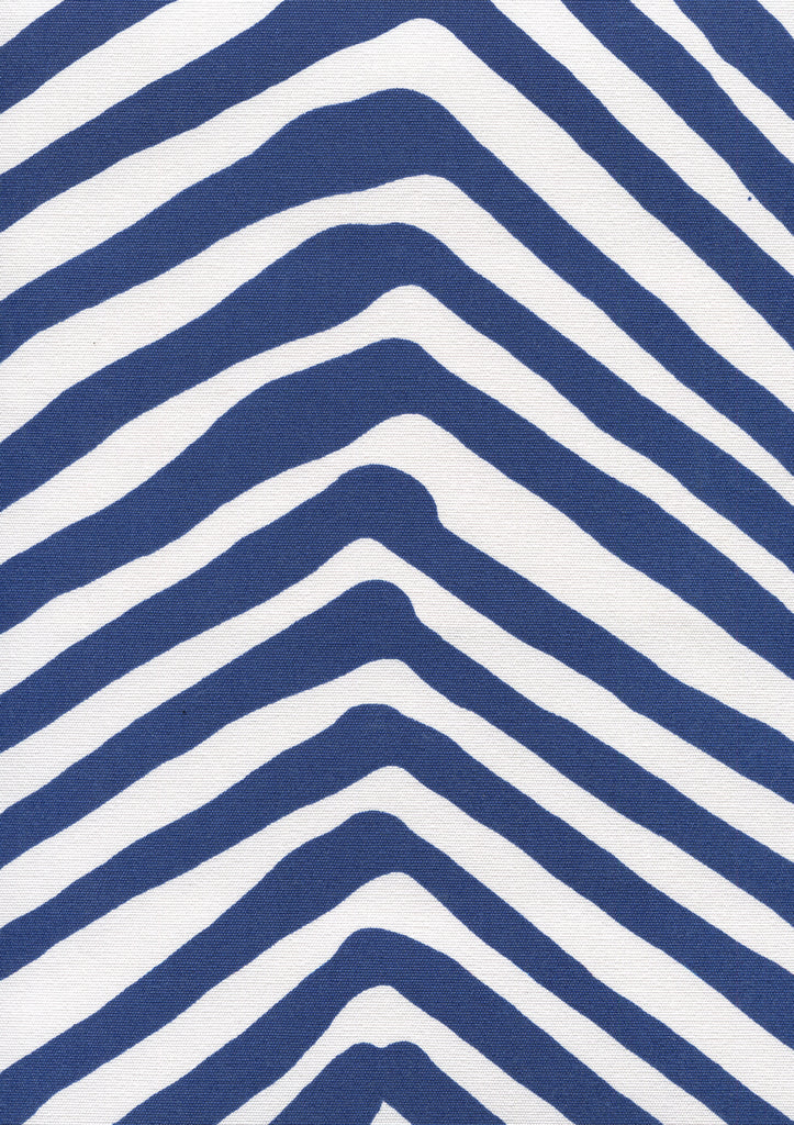 Navy on White