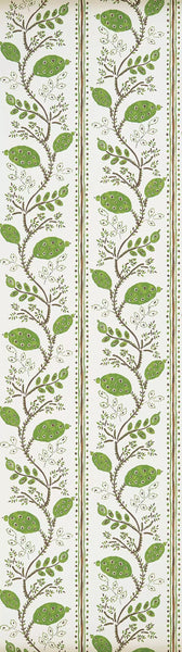 Pomegranate Trail 03  Wallpaper | Nina Campbell Europe