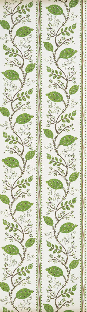 Pomegranate Trail 03  Wallpaper | Nina Campbell Europe