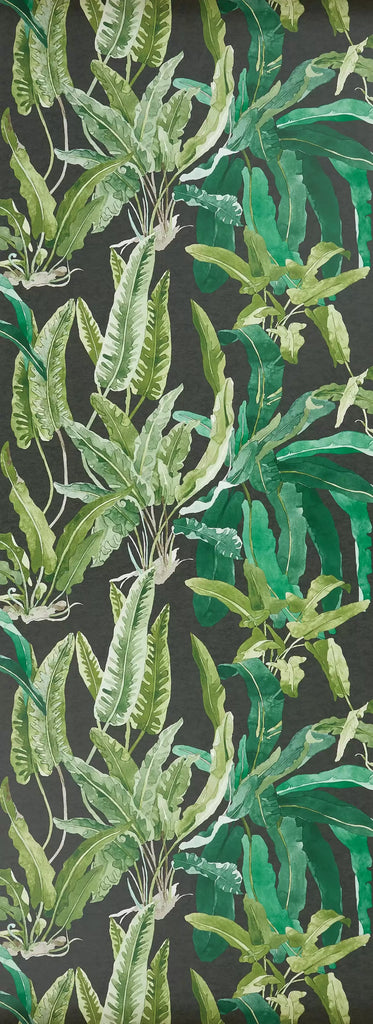 Benmore 01  Wallpaper | Nina Campbell Europe