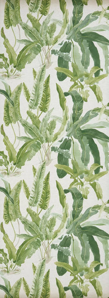 Benmore 02  Wallpaper | Nina Campbell Europe