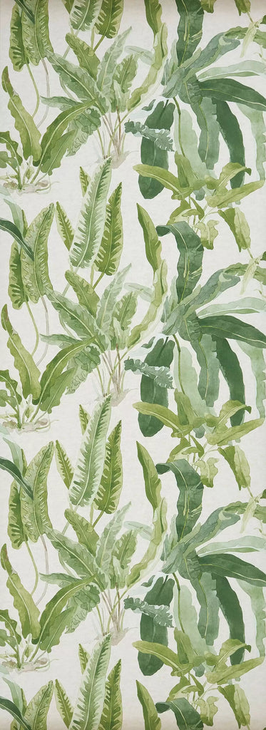 Benmore 02  Wallpaper | Nina Campbell Europe