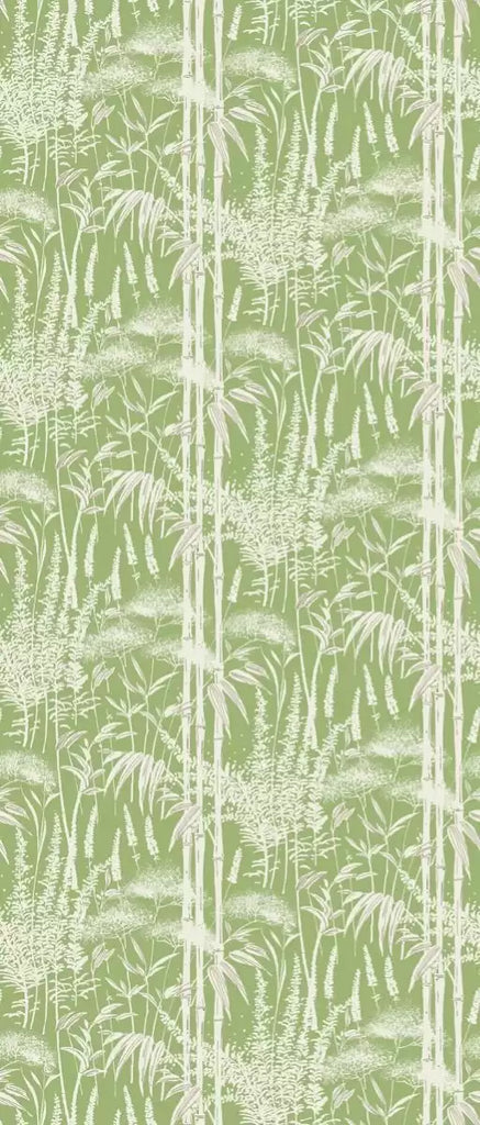 Poiteau Bamboo Ferns 03  Wallpaper | Nina Campbell Europe