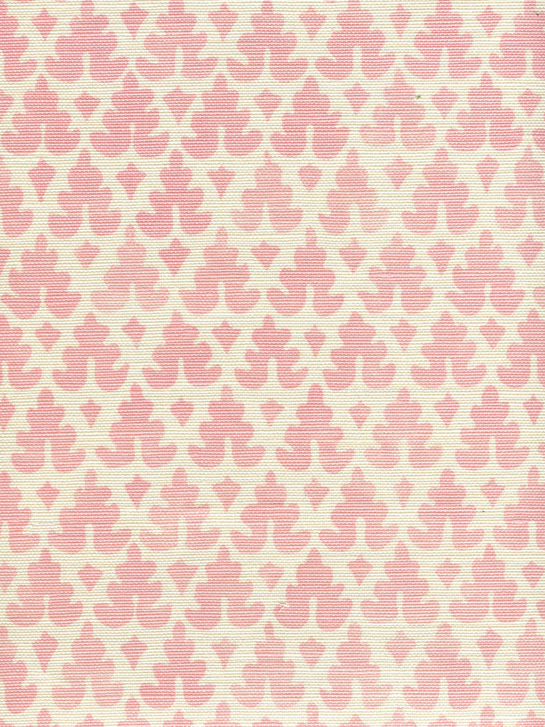 Volpi, New Pink on Tint