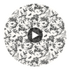 Newlands Toile Fabrics (af57838) – Black | Thibaut Circular Swatch | Thibaut