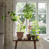 ÄNGSFLORA SPRING | Schumacher - Image 6