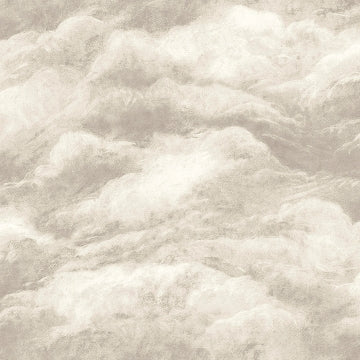 Nimbostratus Ash Cloud Wallcovering | Jeffrey Stevens - Image 2