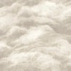 Nimbostratus Ash Cloud Wallcovering | Jeffrey Stevens - Image 1