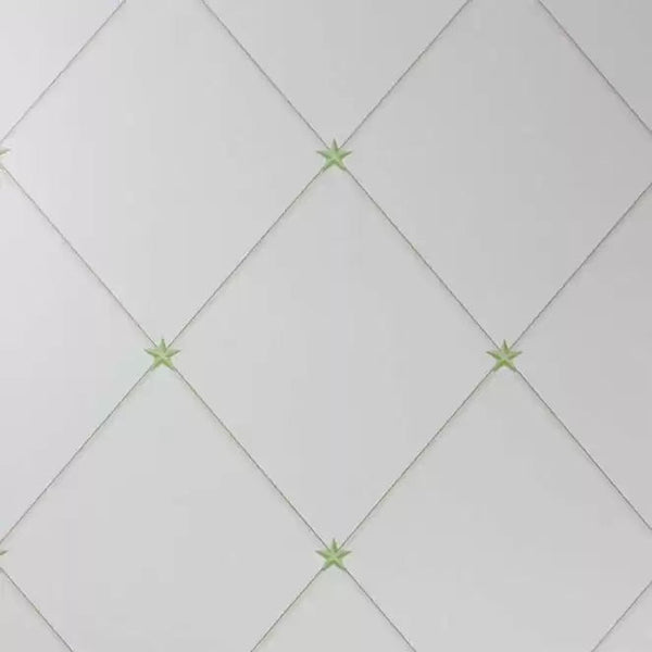 Torosay 03 - Off-White Wallcovering | Nina Campbell