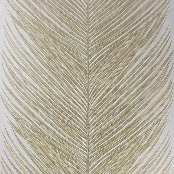 Mey Fern 01 - Khaki Wallcovering | Nina Campbell