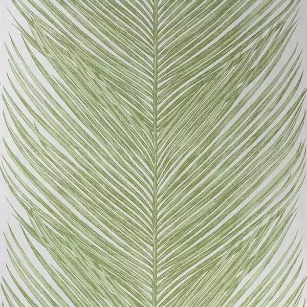 Mey Fern 03 - Celadon Green Wallcovering | Nina Campbell