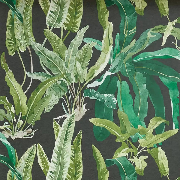 Benmore 01 - Black Wallcovering | Nina Campbell