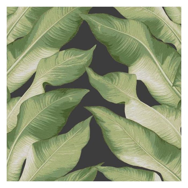 Stripe Palm Tropical Wallcovering - Black Green