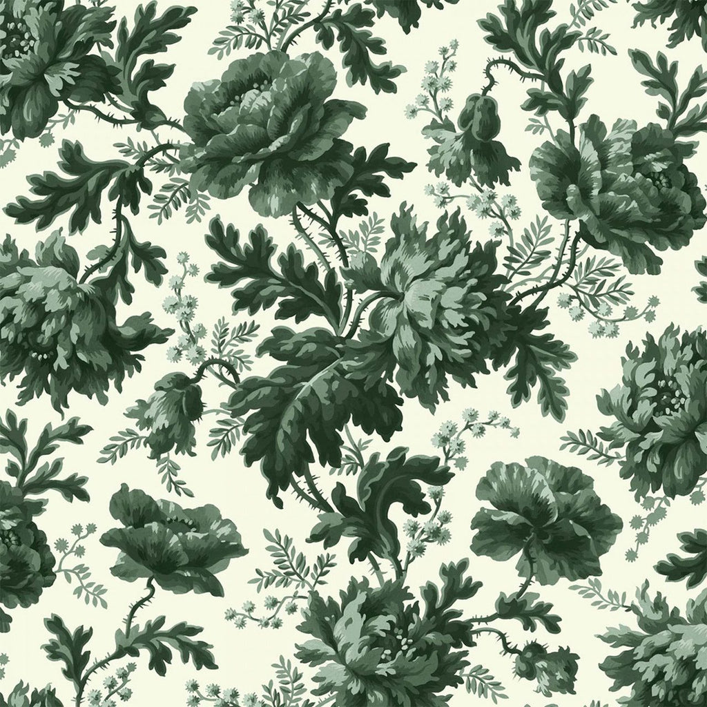 Opia Opaline, Sample