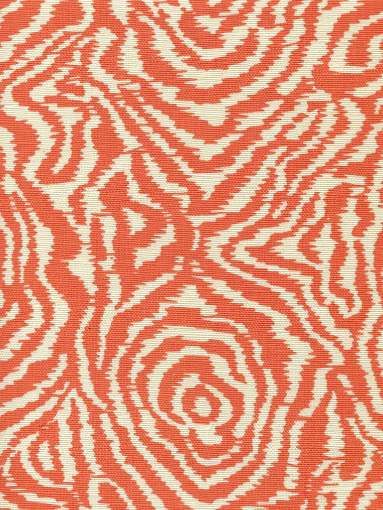 Orange on Tint