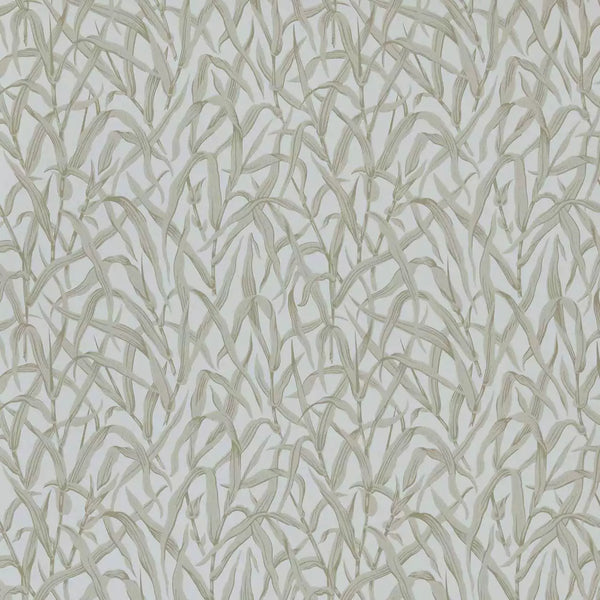 V&a Ornamental Grasses - - Natural Wallcovering | 1838 Wallcoverings