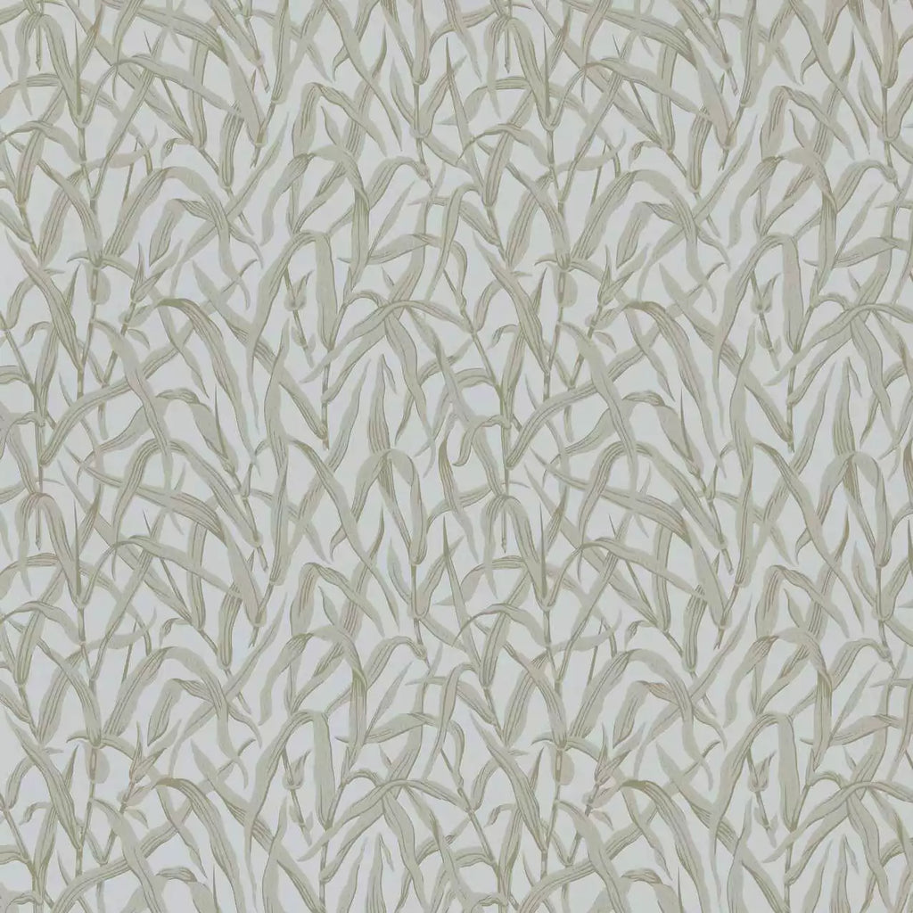 Ornamental Grasses Natural - Image 1