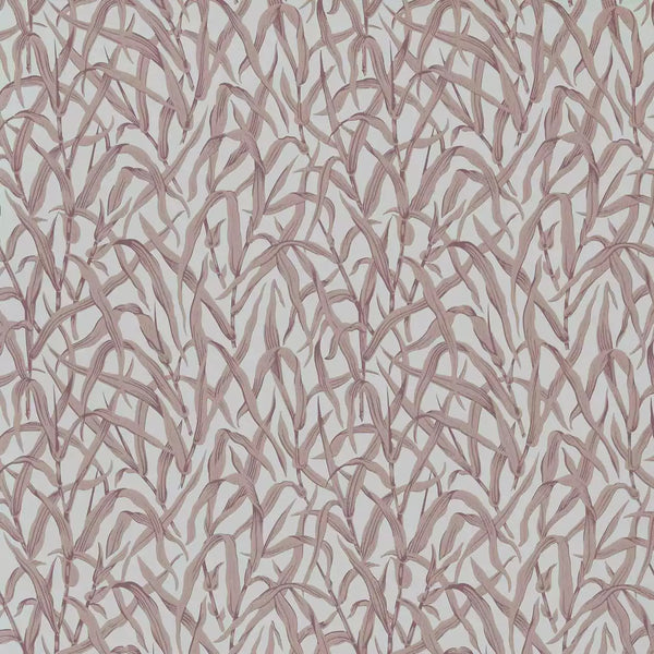 V&a Ornamental Grasses - Rose - Pink Wallcovering | 1838 Wallcoverings