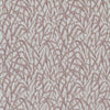 Ornamental Grasses Rose Pink - Image 1