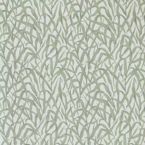 V&a Ornamental Grasses - Sage - Green Wallcovering | 1838 Wallcoverings